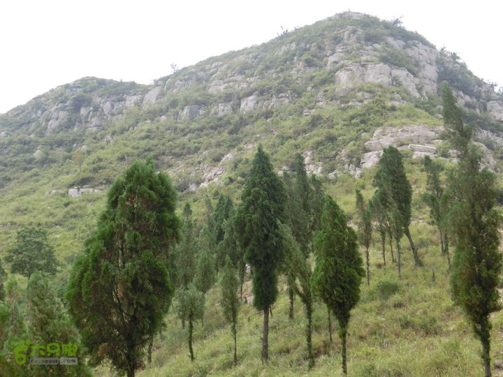 三台山-孟梁台穿越CIMG0459