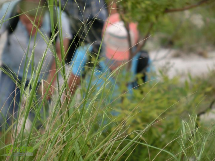 三台山-孟梁台穿越CIMG0464