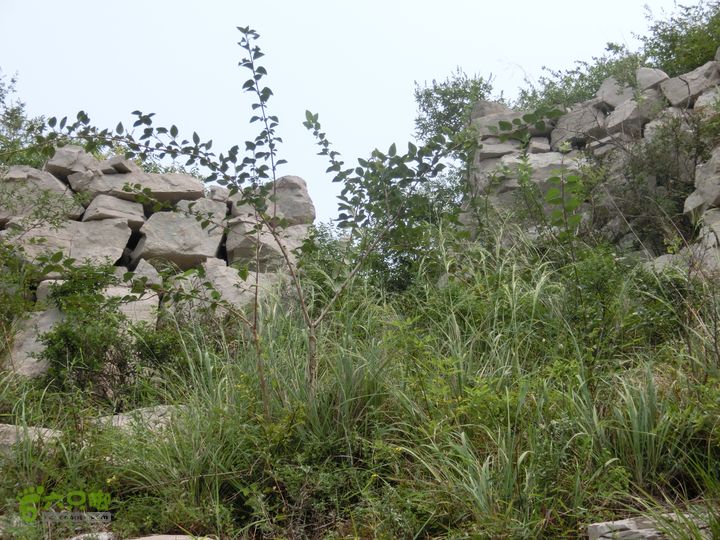 三台山-孟梁台穿越CIMG0479