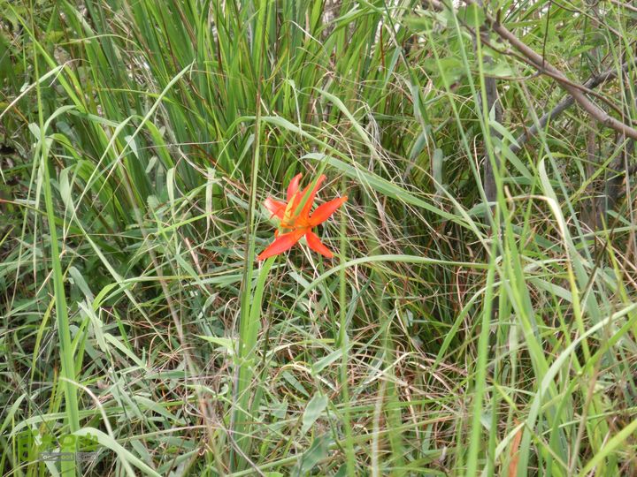 三台山-孟梁台穿越CIMG0483