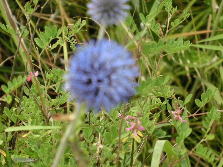 三台山-孟梁台穿越CIMG0485