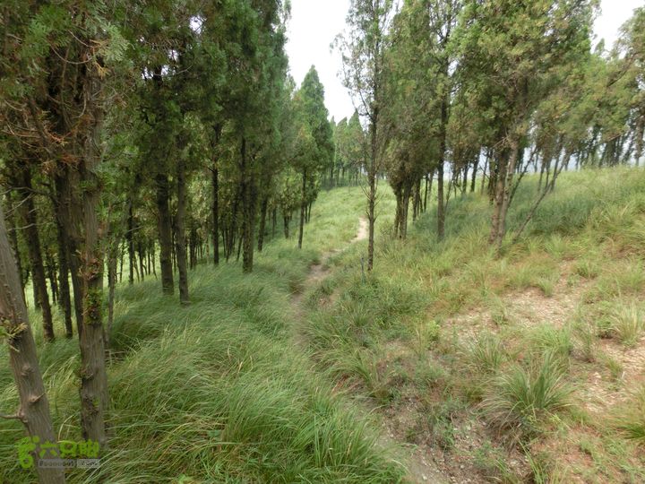 三台山-孟梁台穿越CIMG0486