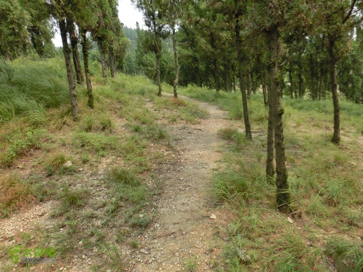 三台山-孟梁台穿越CIMG0487