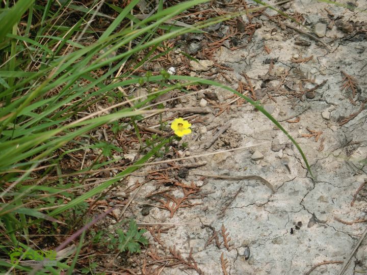 三台山-孟梁台穿越CIMG0489