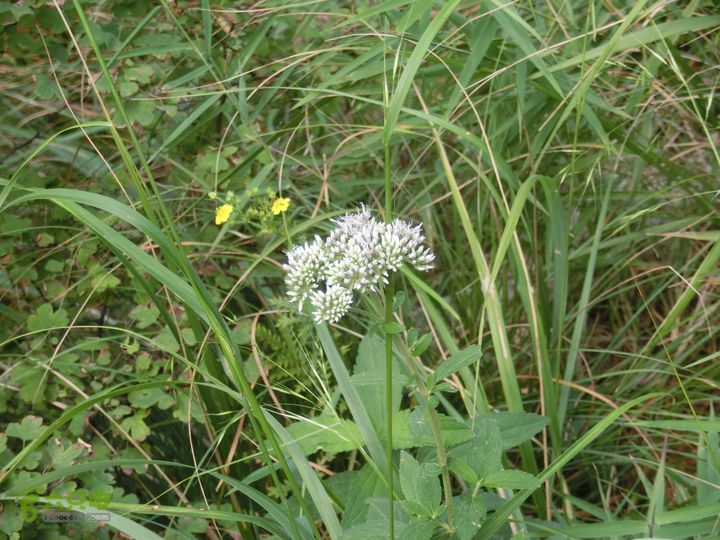 三台山-孟梁台穿越CIMG0492