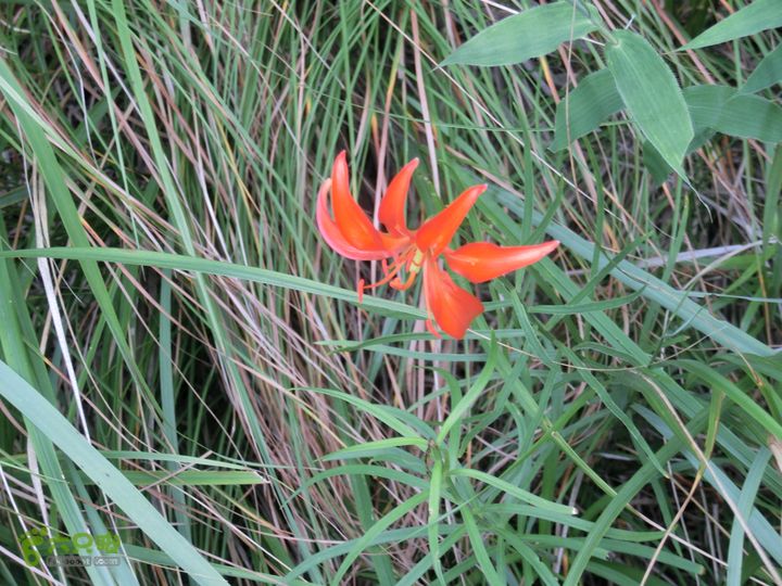 三台山-孟梁台穿越CIMG0494