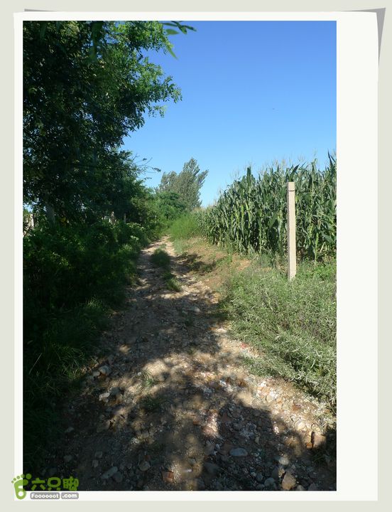 20130817游清东陵寻昭西陵孝庄皇后的陵园~