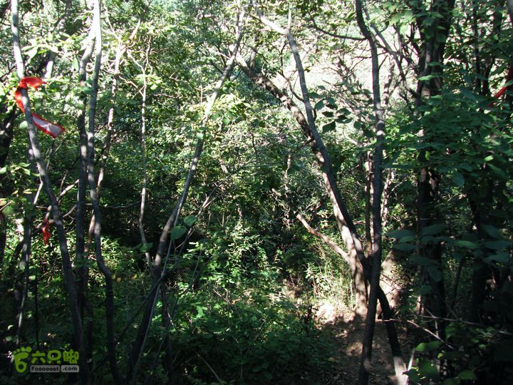 安家庄—十八潭DSCF5342