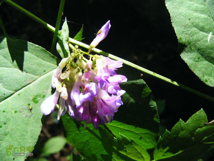 安家庄—十八潭DSCF5387