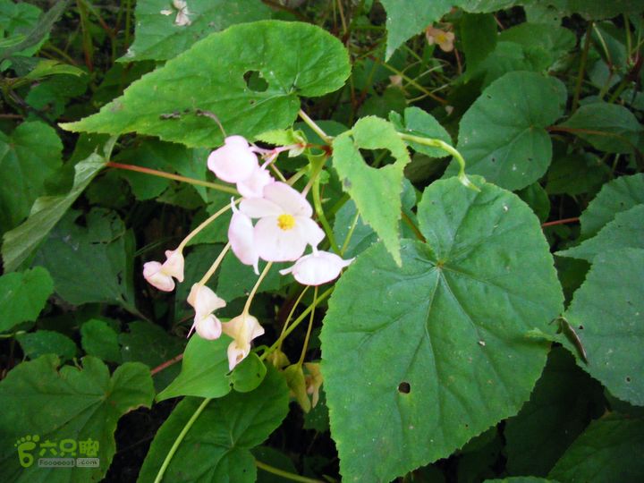 安家庄—十八潭DSCF5392