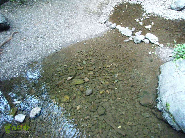 安家庄—十八潭DSCF5431