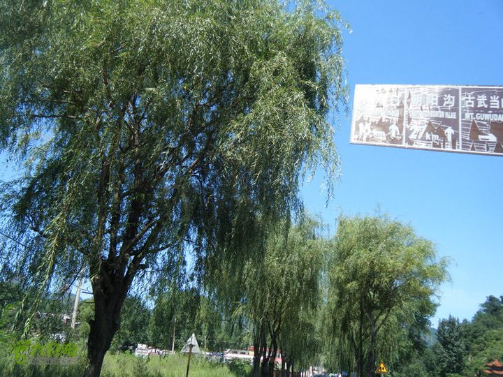 13.8.19武当山骑行DSCF4296