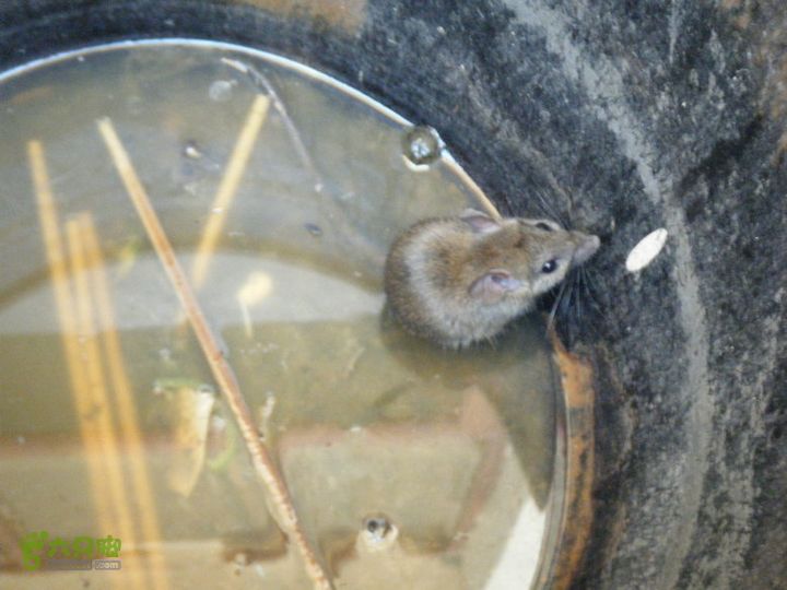 13.8.19武当山骑行DSCF4298