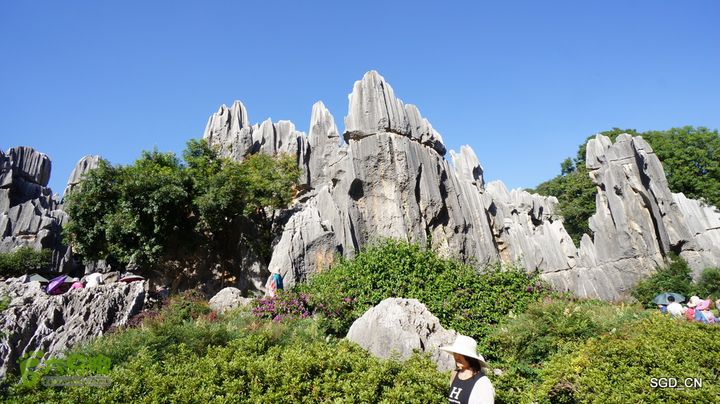 云南第五天:④楚雄_石林  DSC08026