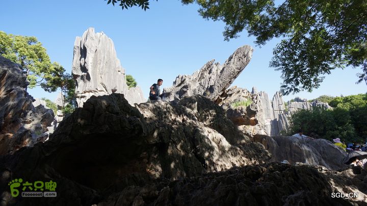云南第五天:④楚雄_石林  DSC08034