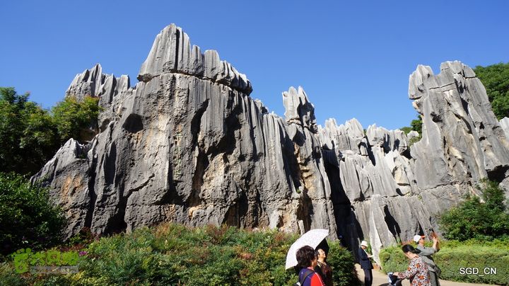 云南第五天:④楚雄_石林  DSC08028