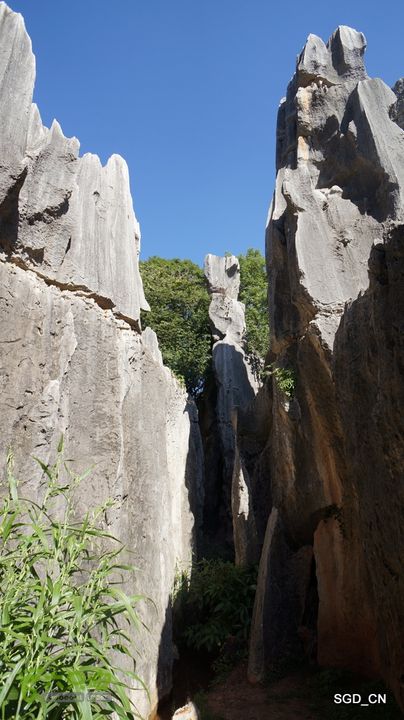 云南第五天:④楚雄_石林  DSC08030