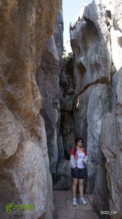 云南第五天:④楚雄_石林  DSC08032