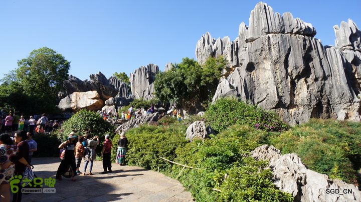 云南第五天:④楚雄_石林  DSC08038