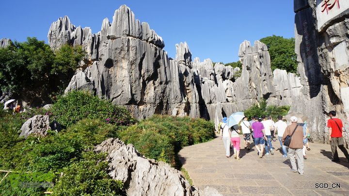 云南第五天:④楚雄_石林  DSC08039