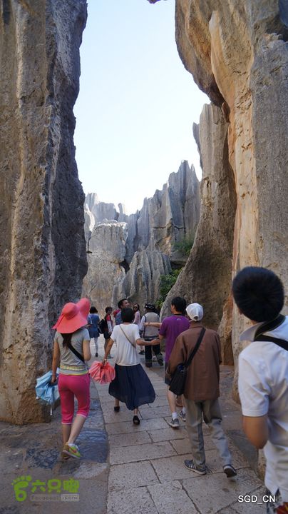 云南第五天:④楚雄_石林  DSC08043