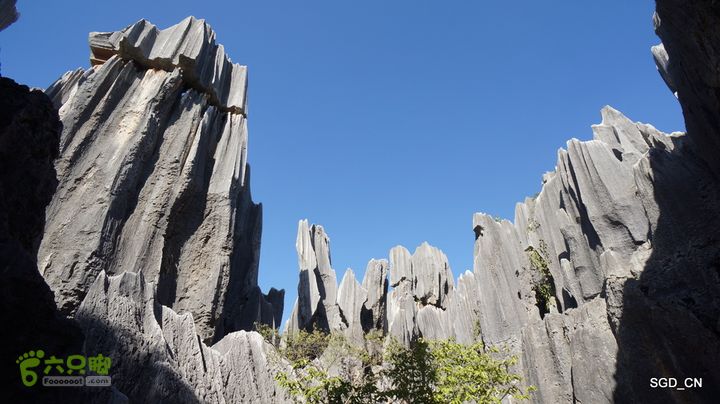 云南第五天:④楚雄_石林  DSC08045