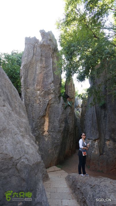 云南第五天:④楚雄_石林  DSC08046