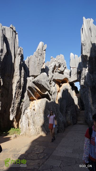 云南第五天:④楚雄_石林  DSC08048