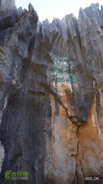 云南第五天:④楚雄_石林  DSC08049