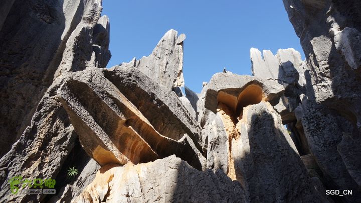 云南第五天:④楚雄_石林  DSC08052