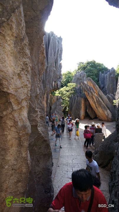 云南第五天:④楚雄_石林  DSC08056