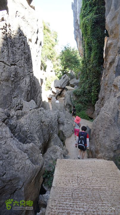 云南第五天:④楚雄_石林  DSC08059