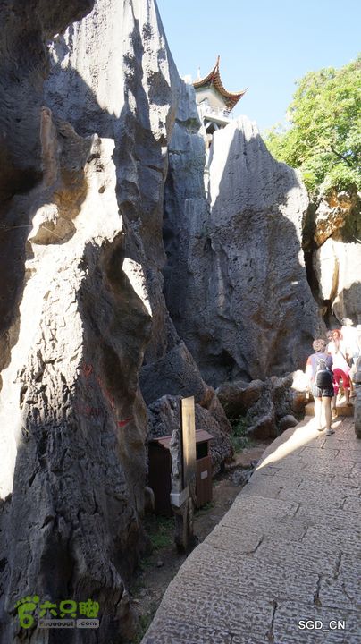 云南第五天:④楚雄_石林  DSC08060