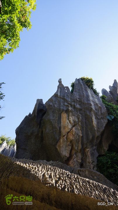 云南第五天:④楚雄_石林  DSC08061