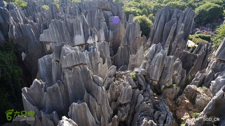 云南第五天:④楚雄_石林  DSC08064