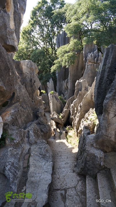 云南第五天:④楚雄_石林  DSC08079