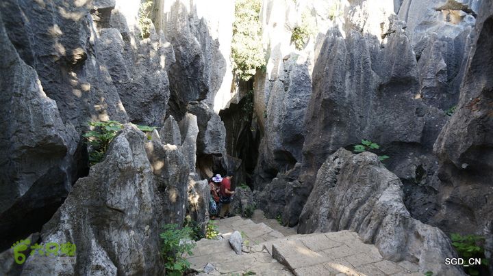 云南第五天:④楚雄_石林  DSC08080