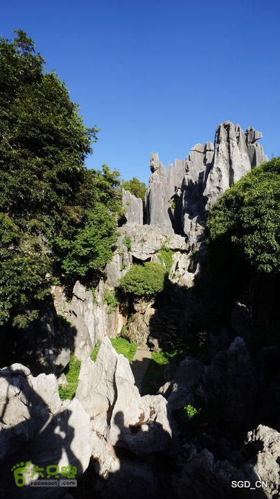 云南第五天:④楚雄_石林  DSC08082