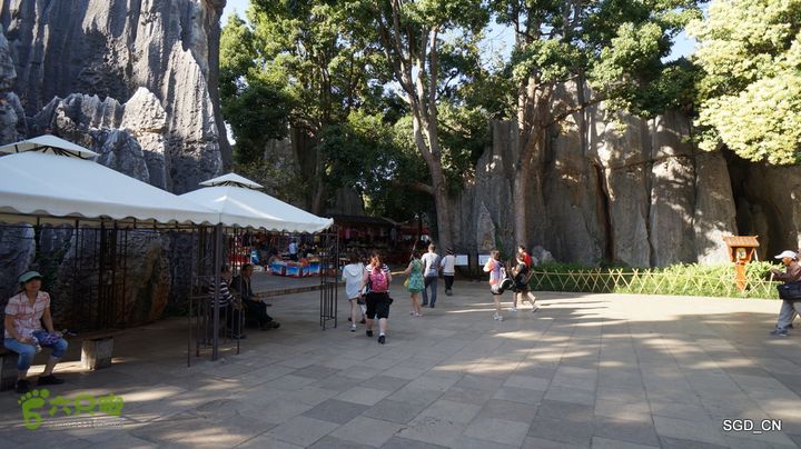 云南第五天:④楚雄_石林  DSC08086