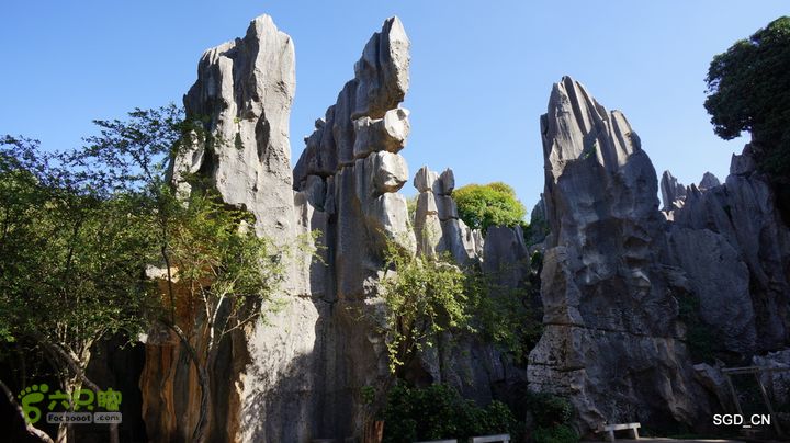 云南第五天:④楚雄_石林  DSC08087