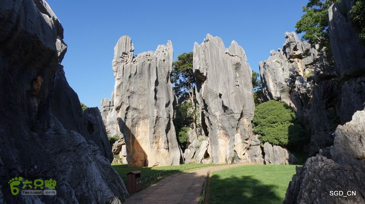 云南第五天:④楚雄_石林  DSC08089