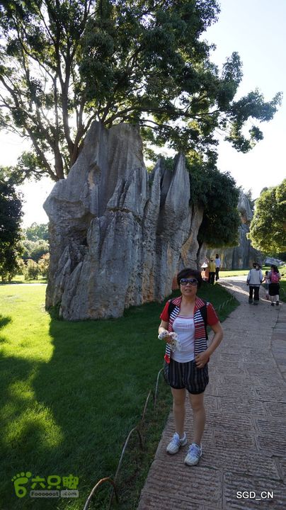 云南第五天:④楚雄_石林  DSC08090