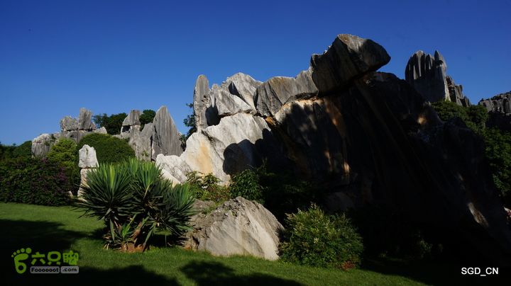 云南第五天:④楚雄_石林  DSC08092