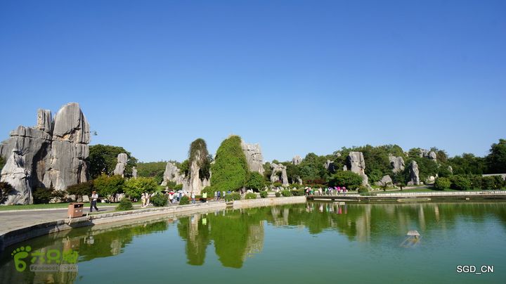 云南第五天:④楚雄_石林  DSC08102