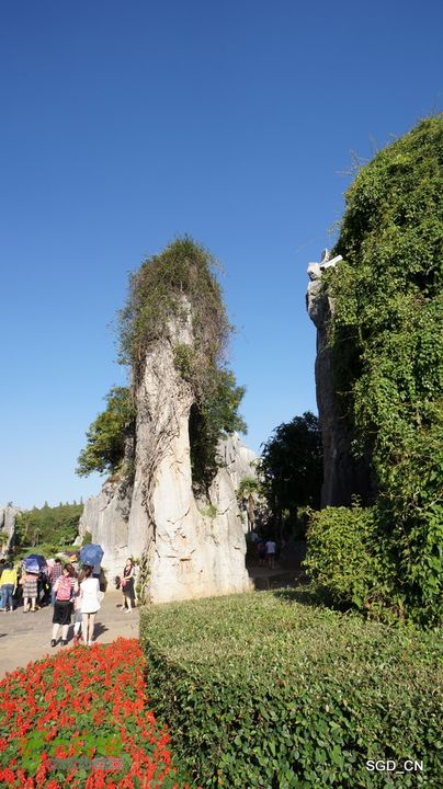 云南第五天:④楚雄_石林  DSC08105