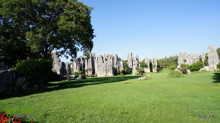 云南第五天:④楚雄_石林  DSC08108