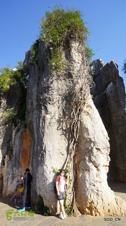 云南第五天:④楚雄_石林  DSC08109