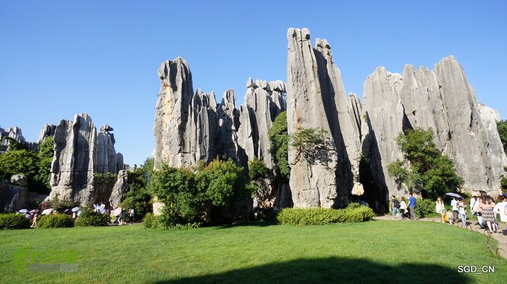 云南第五天:④楚雄_石林  DSC08117