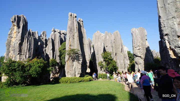 云南第五天:④楚雄_石林  DSC08118