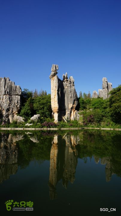 云南第五天:④楚雄_石林  DSC08127